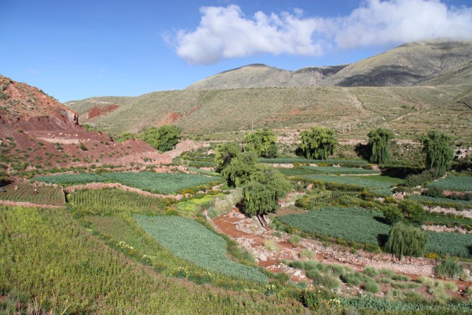 Cayara valley, Potosi, Bolivia