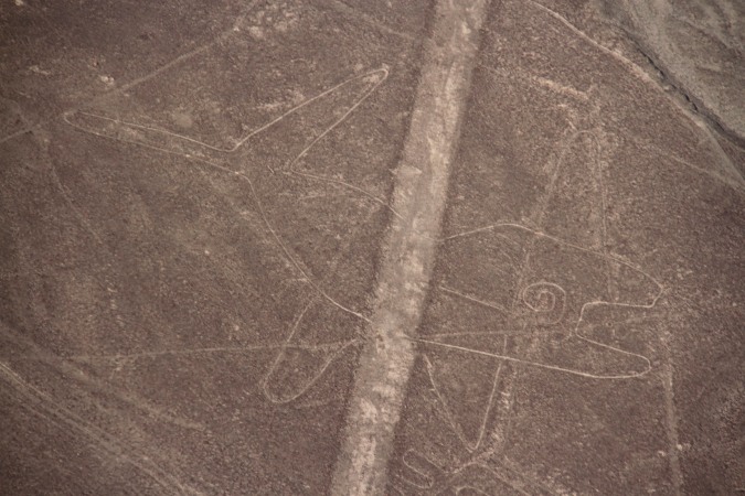 The Whale, Nazca Lines, Peru