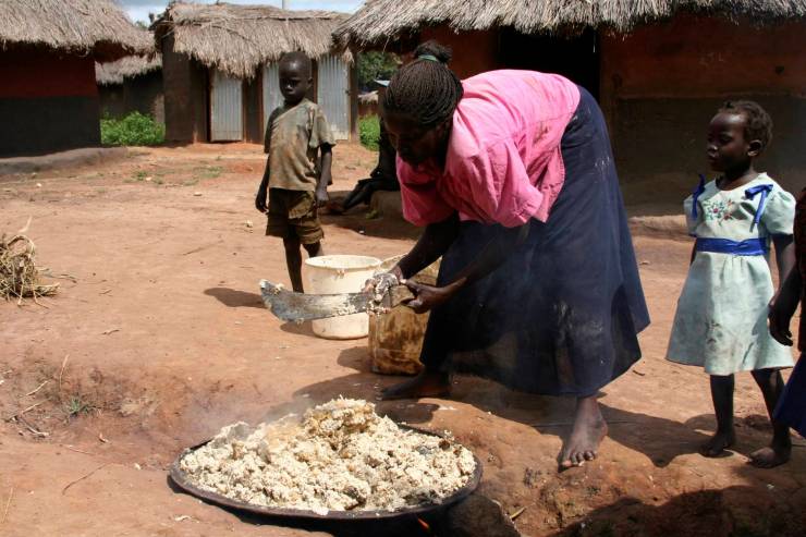 Woman makes beer, Internal Displacement Camp, Gulu Region, Uganda, Africa