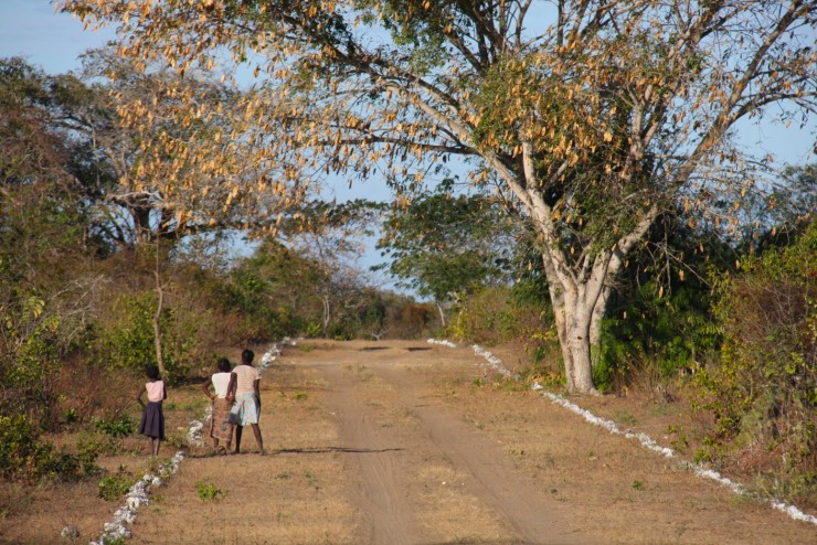 Road to Ibo Island airport, Mozambique, Africa