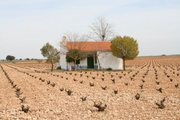 Landscape near Consuegra, Castilla-La Mancha, Spain