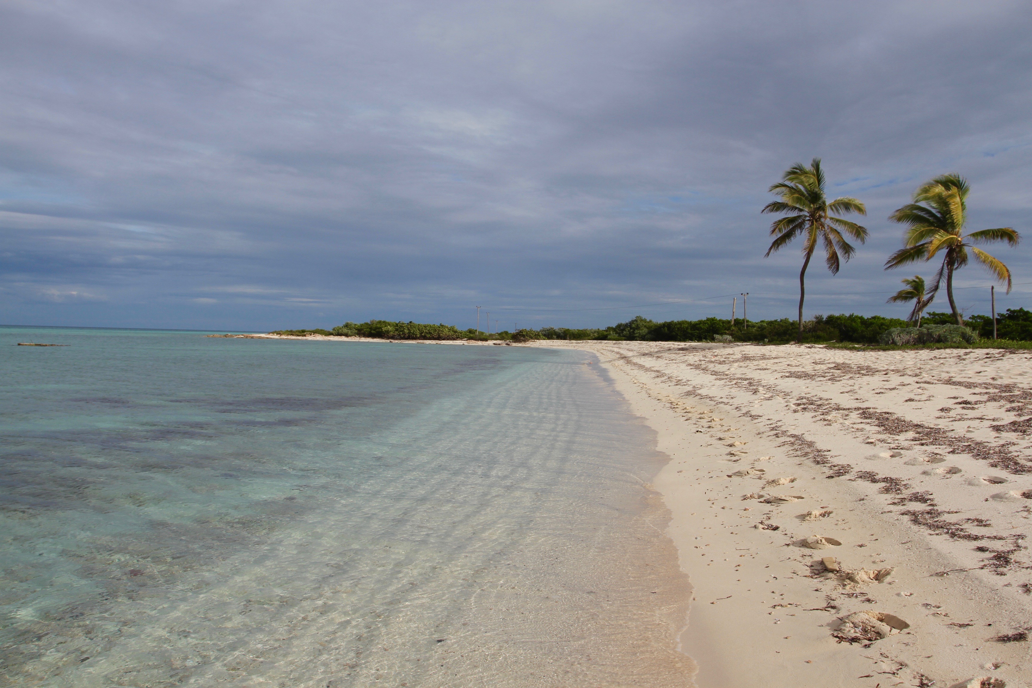 Свободная куба отзывы. Пляж Санта Лусия Куба. Камагуэй Куба пляжи. Кайо Коко кокосы. Куба архипелаг Лос-колорадос.