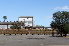 Cane train, Bundaberg Rum Distillery, Queensland, Australia