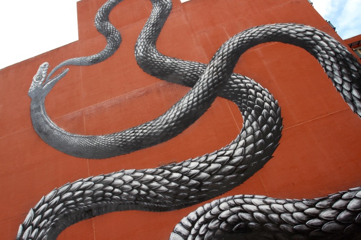 ROA, Street Art, Perth, Western Australia