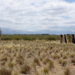 Bodega Salentein, Valle de Uco, Mendoza, Argentina