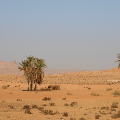 Landscape around Tataouine, Tunisia