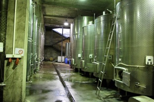 Wine production, Kakheti, Georgia
